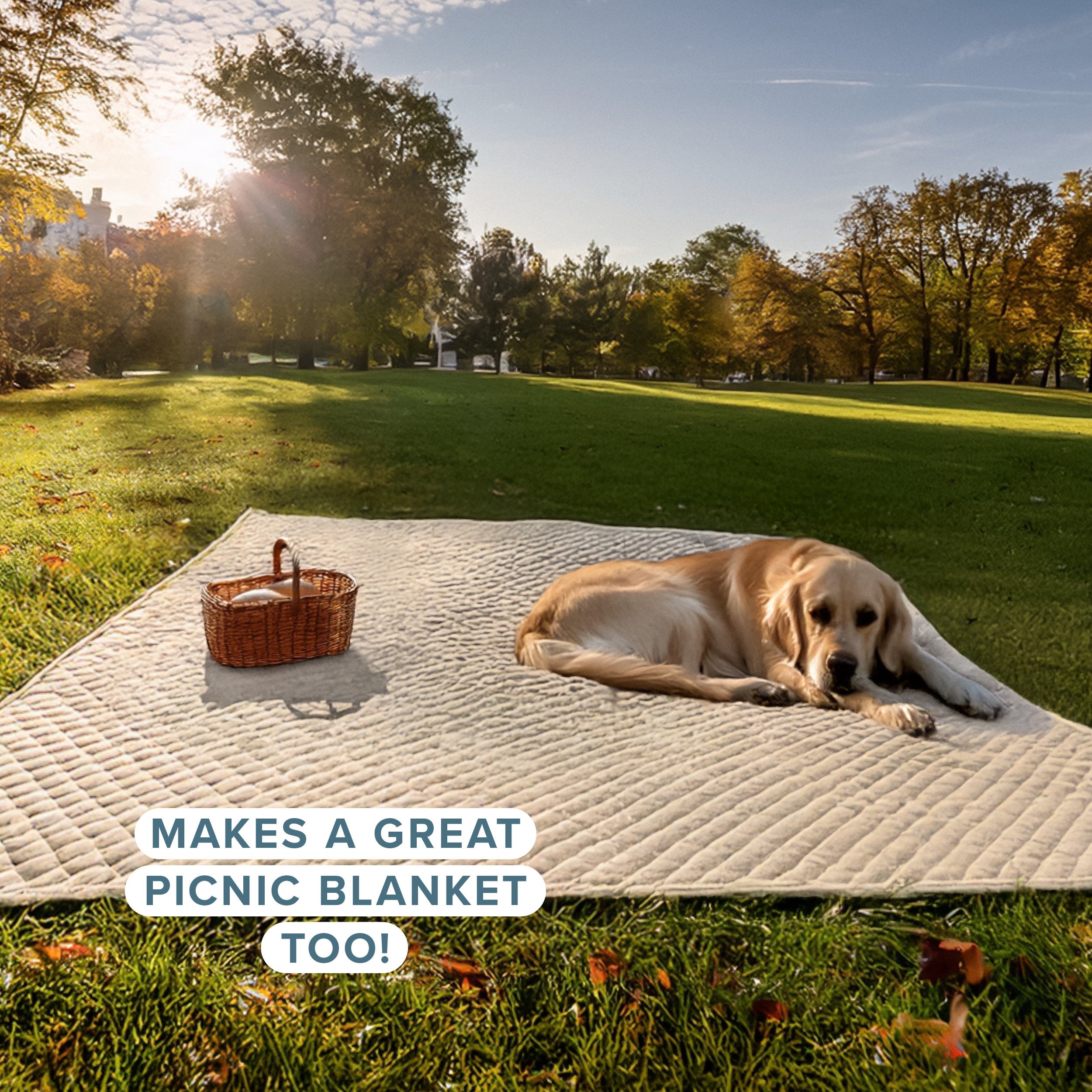 Bare Home Sand Diamond Stitched Quilt, Full/Queen - Hypoallergenic